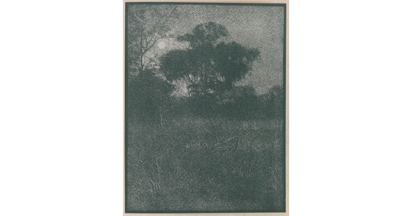 A dark, soft-focus, black-and-white photograph of a bright moon rising from behind trees.
