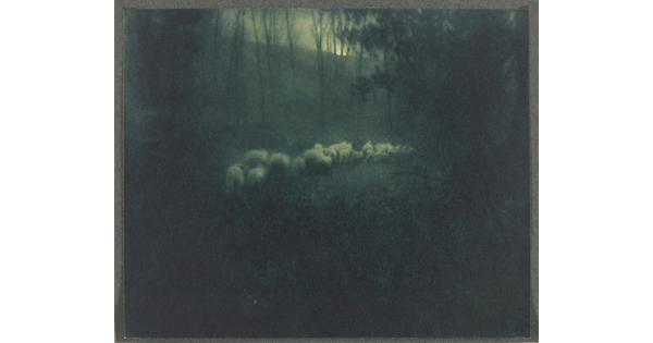 A black-and-white photograph of a flock of sheep walking through a moonlit wood.
