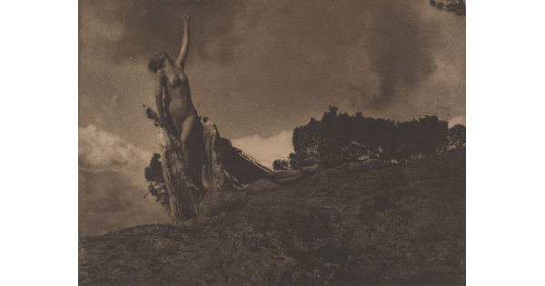 A sepia-toned photograph of a nude woman leaning on the trunk of a tree and reaching up toward the sky.