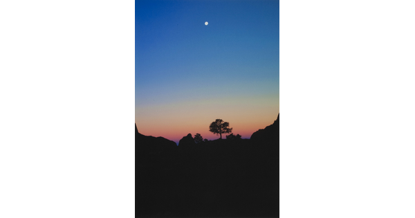 A color photograph of the moon high in a deep blue sky above mountains and trees silhouetted against a purple and yellow sunset.