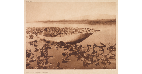 A sepia-toned photograph of an Indigenous person sitting in a canoe on water surrounded by vegetation.
