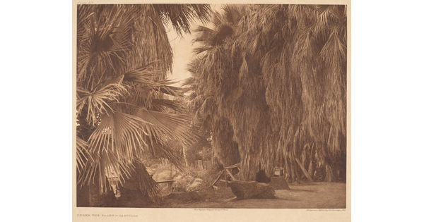 A sepia-toned photograph of rocks and wood structures under overgrown palm trees.