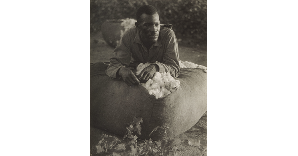A black-and-white photograph of a Black man leaning on a bag of cotton with his forearms, looking away from the viewer.
