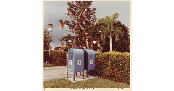 A color photograph of two blue mailboxes next to a large Christmas tree with a palm tree in the background.