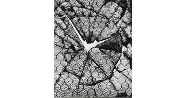 A black-and-white abstract photograph of light coming through textured glass reinforced with wire that has shattered into a pattern resembling a tree ring.