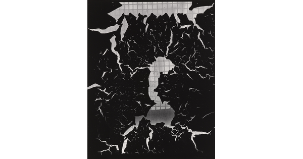 A black-and-white abstract photograph of black abstract shapes suspended in front of a gridded background.