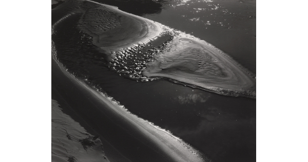 A black-and-white abstract photograph of water washing up on a sandy beach.