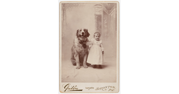 A black-and-white studio photograph of a White toddler in a white dress standing next to a large dog and holding onto its collar. 