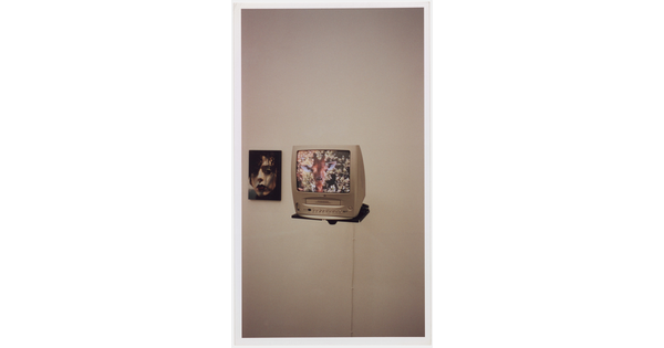 A color photograph of a photograph of a person&#039;s face mounted on a wall next to an old-style tv/VCR color screen on a shelf showing the head of a giraffe.
