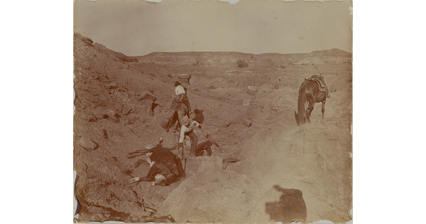 A sepia-toned photograph of two men on a rocky hillside, one on horseback, the other crouched next to a roped cow laying on the ground as his horse stands nearby.