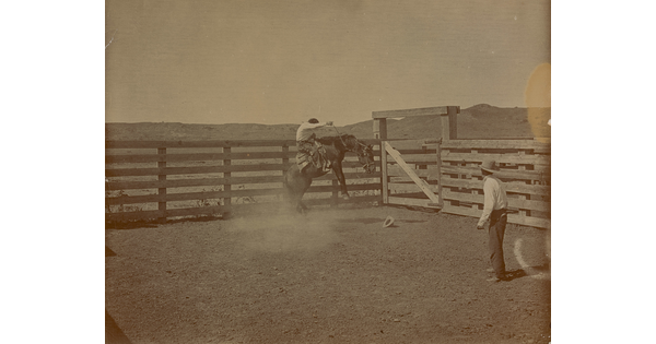 A black-and-white photograph of a man trying to stay seated on his rearing horse in a corral as another man watches.