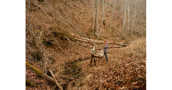 A color photograph of two people in the woods holding a dead deer on a stick between their shoulders.