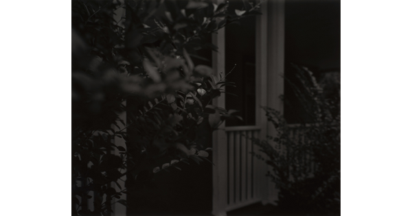 A black-and-white photograph of a porch viewed through the leaves of bushes at night.