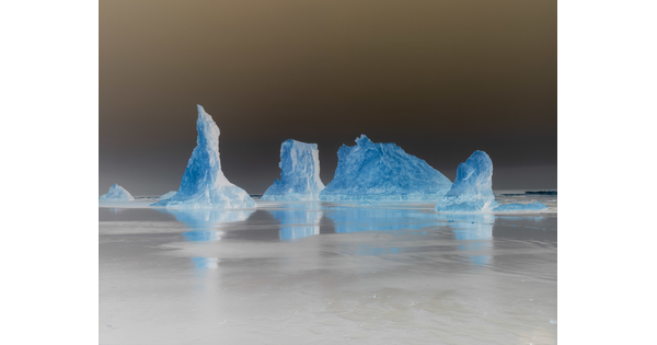 A color photograph of blue icebergs trapped in smooth gray ice in front of a dark gray sky.