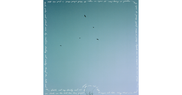 A square, color photograph of dark birds in a blue sky with the title words written in white around the perimeter.