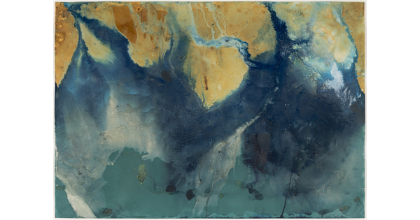 An abstract color photograph of leaves and plants trapped in the ice of a stream.