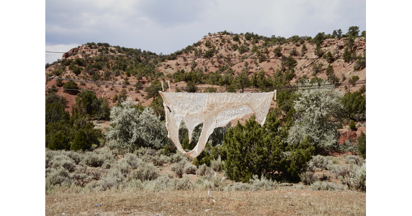 A color photograph of a semi-transparent animal skin hanging on a clothesline in front of a shrubby and rocky desert hillside.