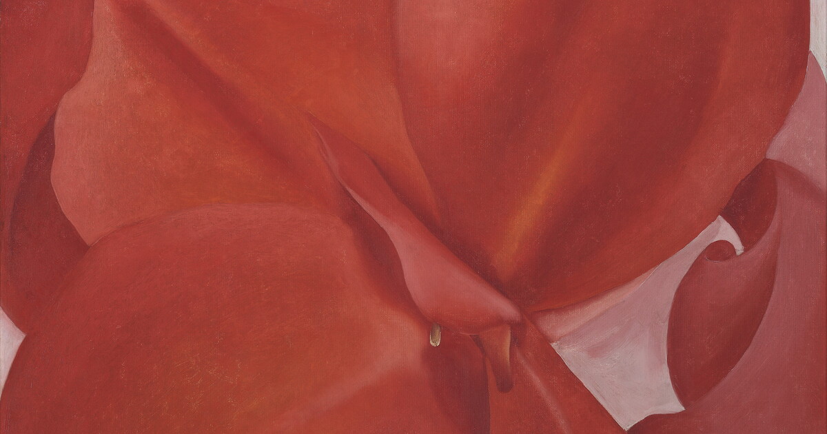Red Cannas | Amon Carter Museum of American Art