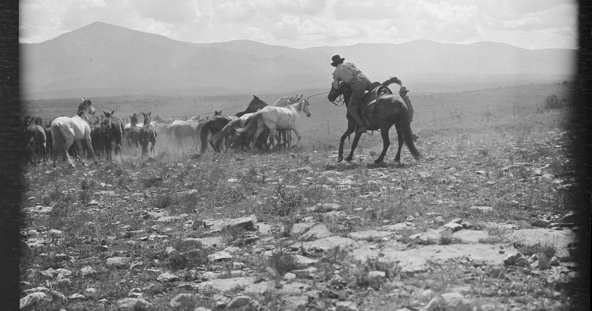 Cowhands Ranch Cowhand coming in for a quick change of horses while another cowhand ...
