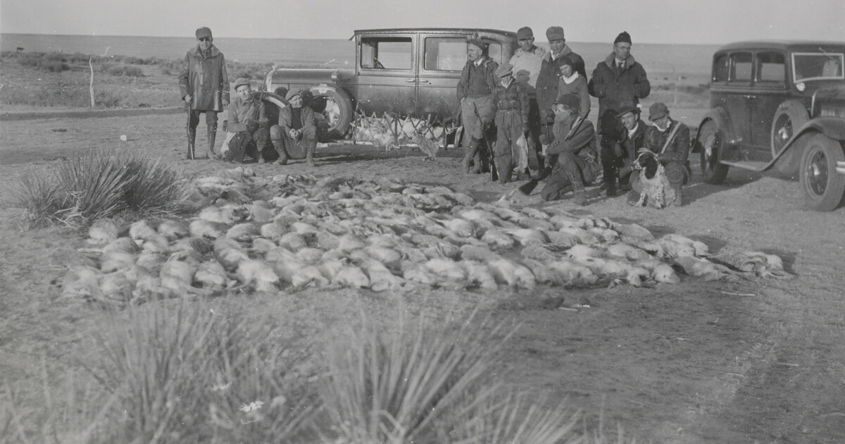 [Hunters showing their rabbit kill] | Amon Carter Museum of American Art