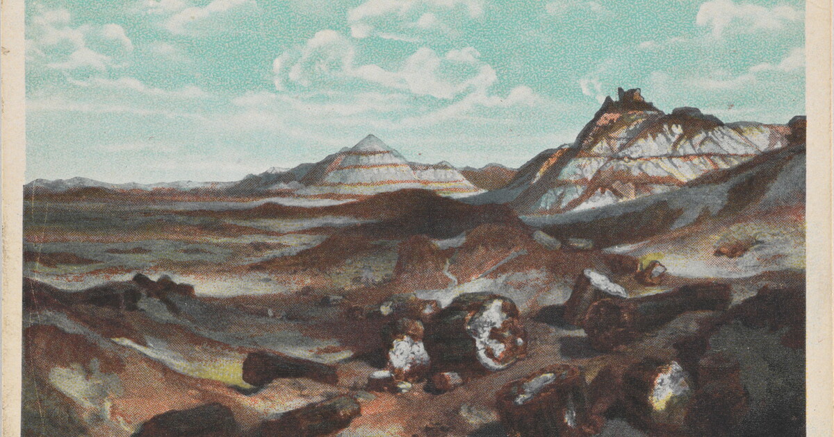 Petrified Forest, Arizona | Amon Carter Museum of American Art