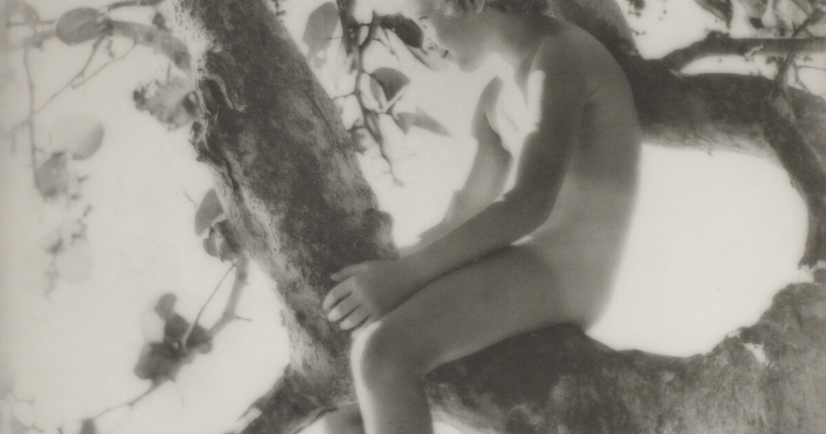 [Blond child straddling tree branch] | Amon Carter Museum of American Art